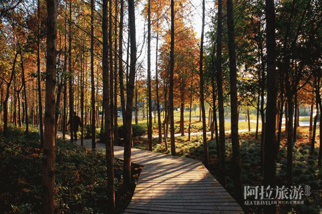 宁波网红游乐推荐,宁波室外十大网红游乐项目