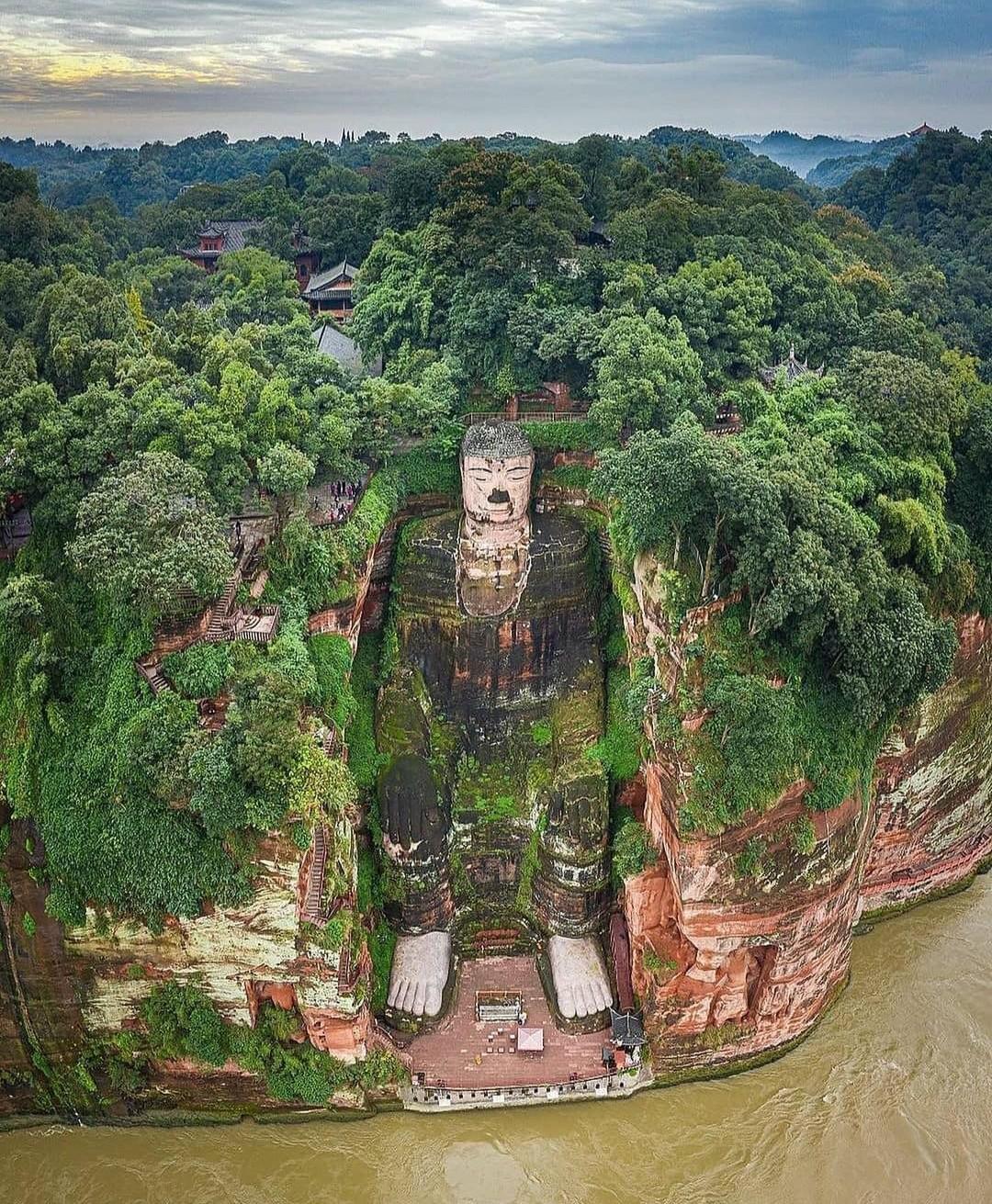 显微镜下蚂蚁的真实面目图片,蚂蚁在显微镜下的样子图片