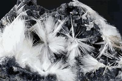 汽车中毒是怎么回事,汽车中毒什么意思