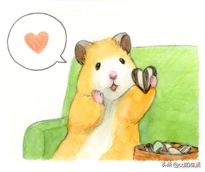 m78基因跟吃香菜有什么关系,不喜欢吃香菜的科学原因