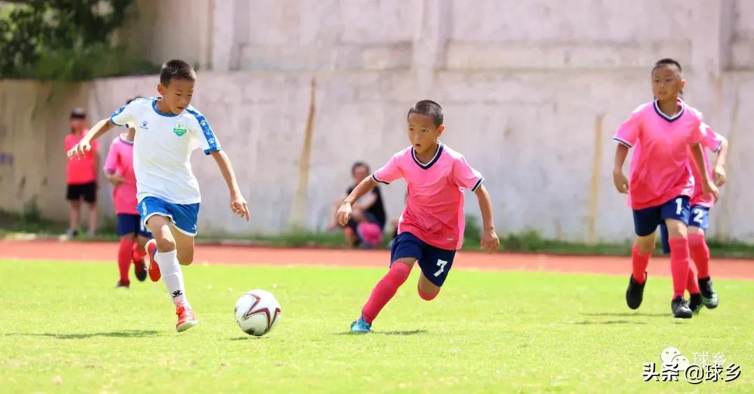 区中小学足球联赛,体教融合杯中学篮球赛