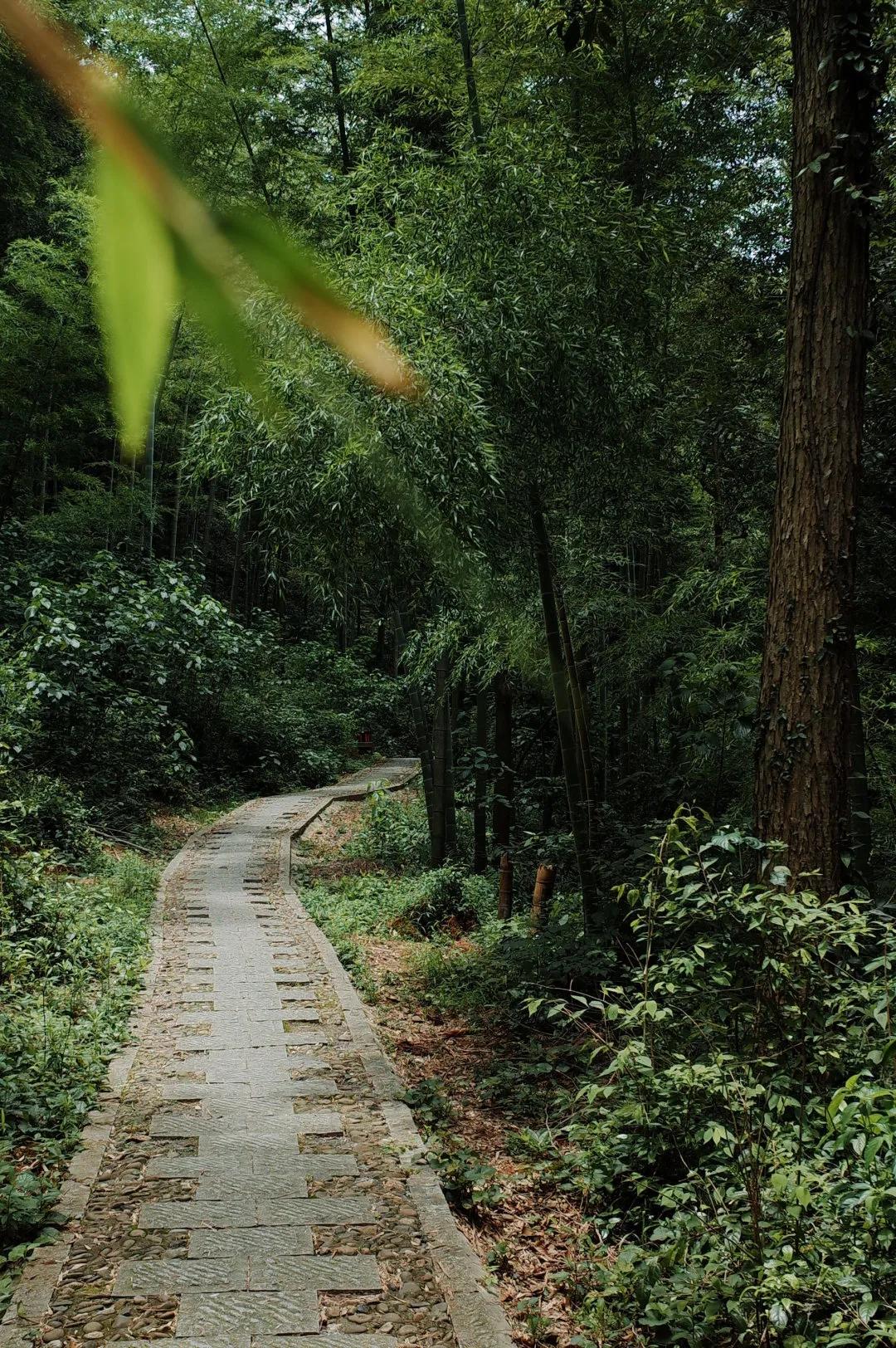 杭州西湖人少景美的地方,杭州人少景美免费景点
