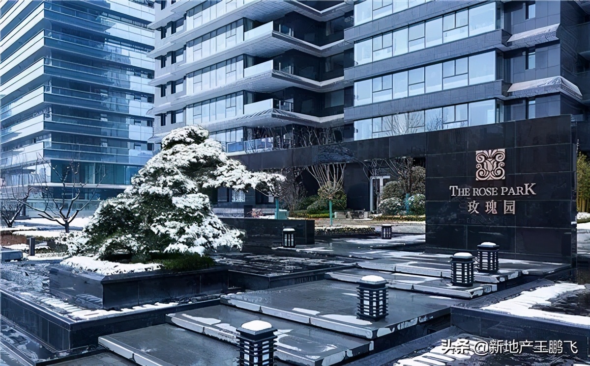 *瑰园玫**|曲江池畔的「叛逆少年」，匠心打磨的「凝固艺术」