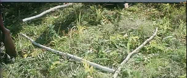 《紫日》紫色,代表太阳快落山了