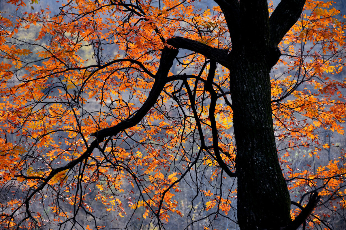运城市十三县市有哪些,运城十三个县市有哪些
