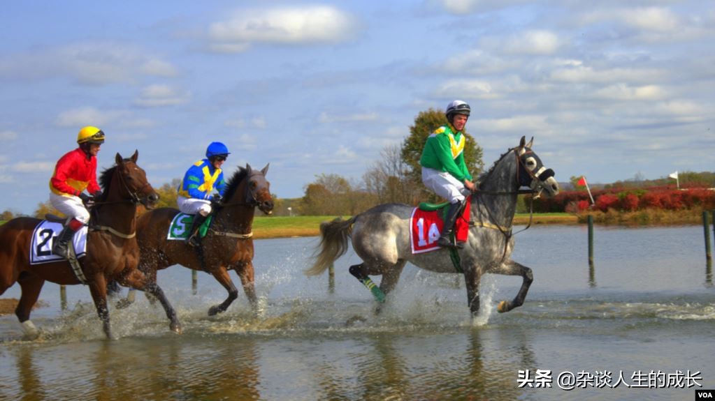 维吉尼亚回转舞,维吉尼亚集锦