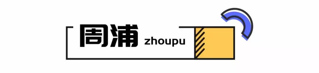 周浦镇和张江镇哪个好,周浦和唐镇哪个有潜力
