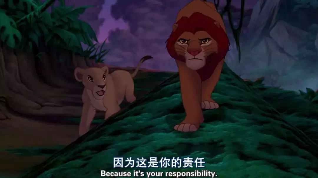 真实版的狮子王,现实版狮子王比想象的更残酷