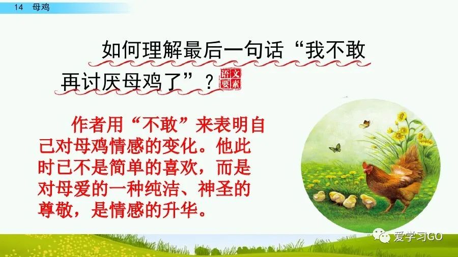 四年级下册语文母鸡课文重点讲解,四年级下册语文14课母鸡重点知识