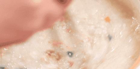 大米粥怎么煮不会粘锅,大米粥怎么煮又滑又粘稠这招绝了