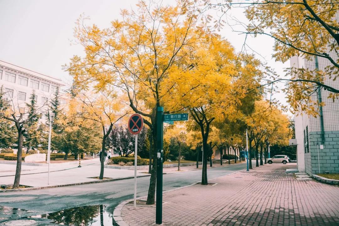 三亚和厦门哪一个更值得去旅游,三亚和厦门哪个更值得去旅游
