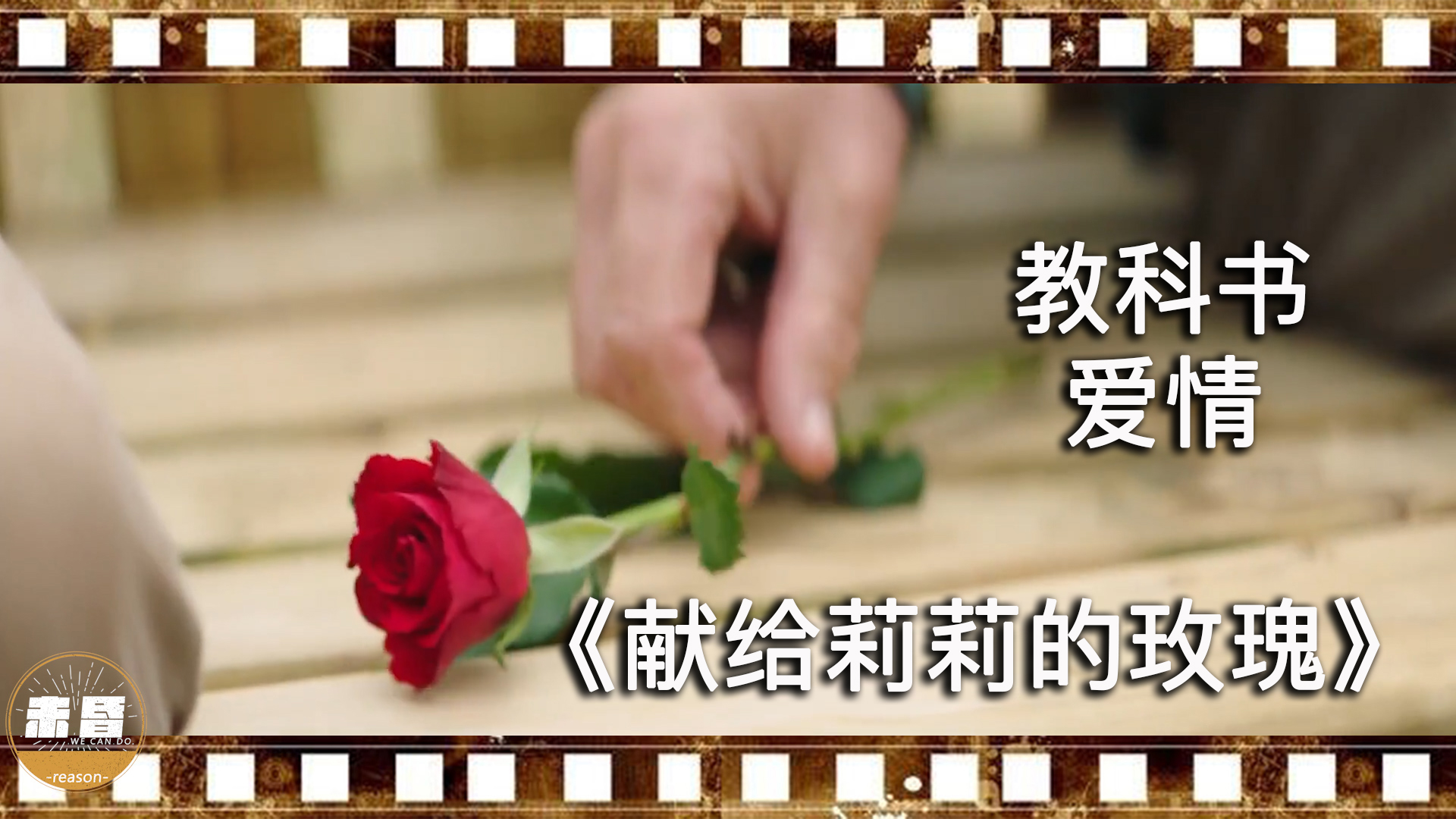 一片麦田完整版,一片麦田一束玫瑰