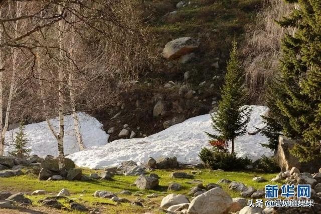 大美新疆欢迎你的视频,大美新疆欢迎你文章