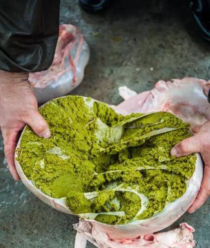 牛瘪火锅奇食记,牛瘪火锅加鲱鱼罐头加臭豆腐