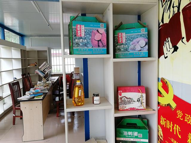 遂溪美丽乡村,遂溪美丽乡村建设