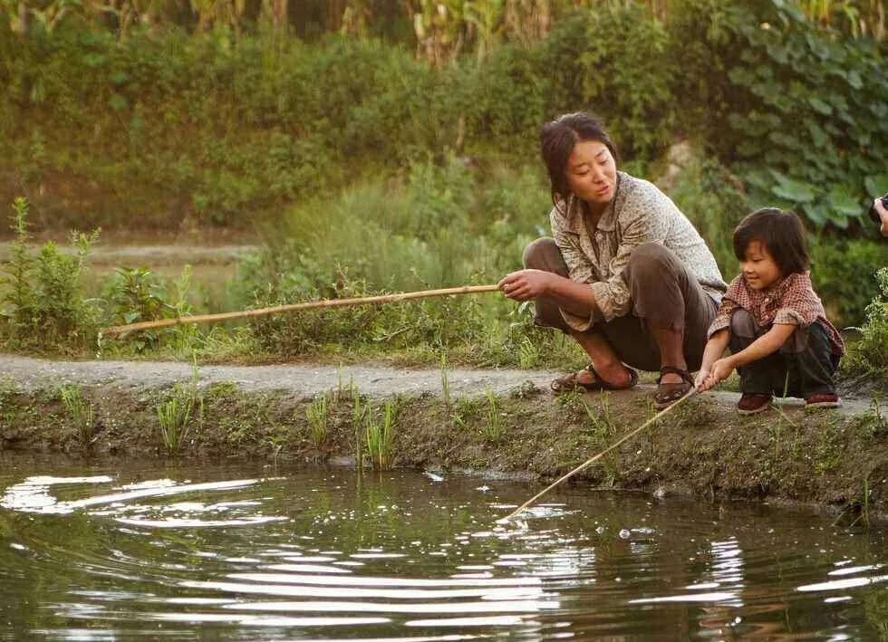苗圃樱桃最后怎么死的,苗圃樱桃解读
