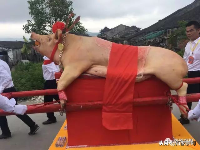 阜南张氏祠堂落成庆典仪式,张氏祠堂唱戏人山人海