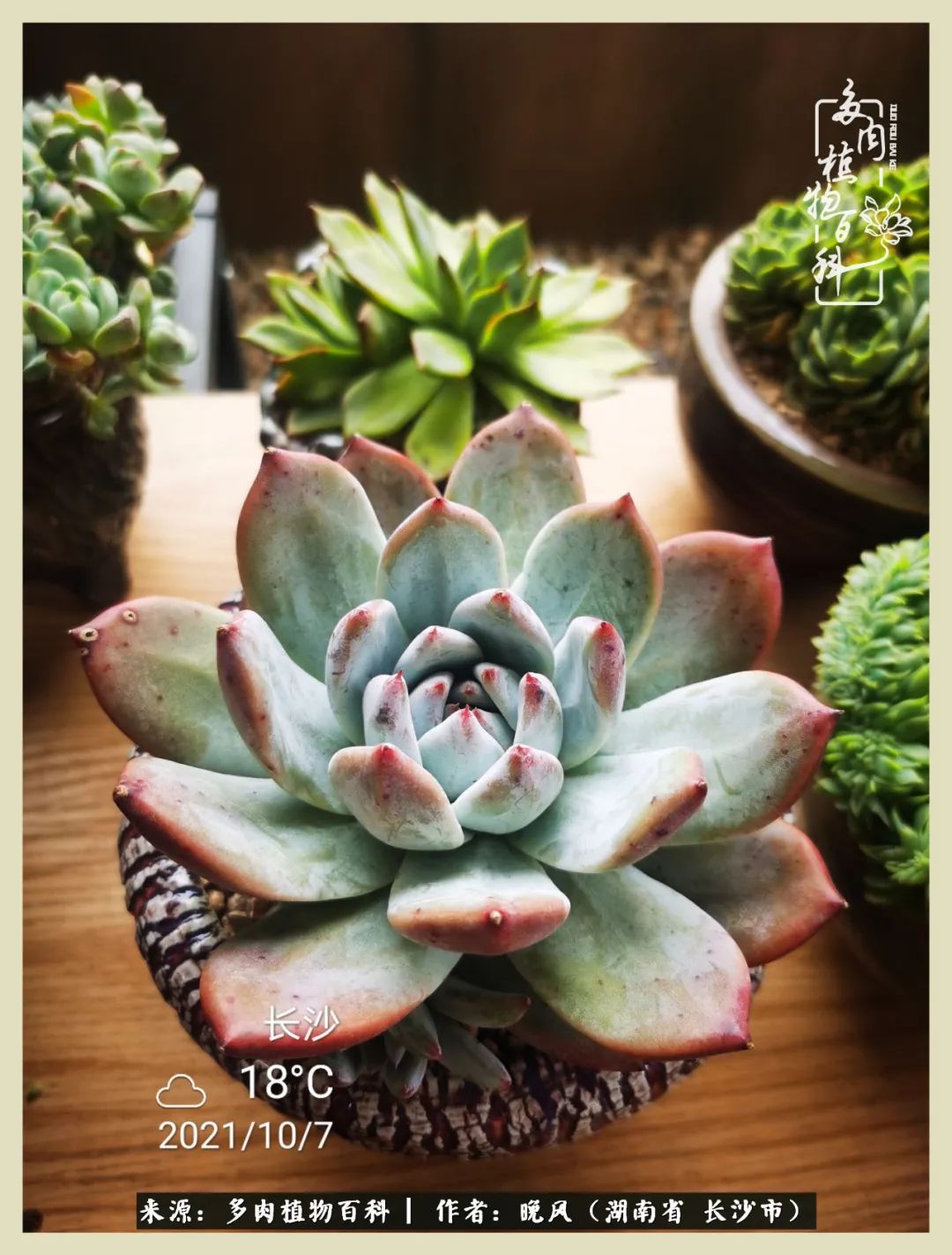 摇身一变成了奶爸,摇身一变成为打工人