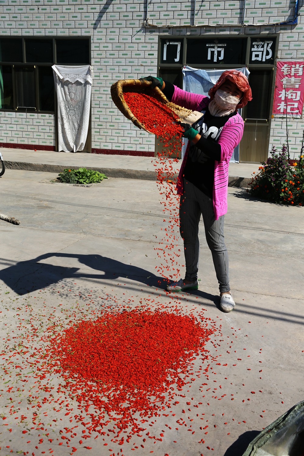 丰收快乐节,农民丰收节唱出丰收喜悦