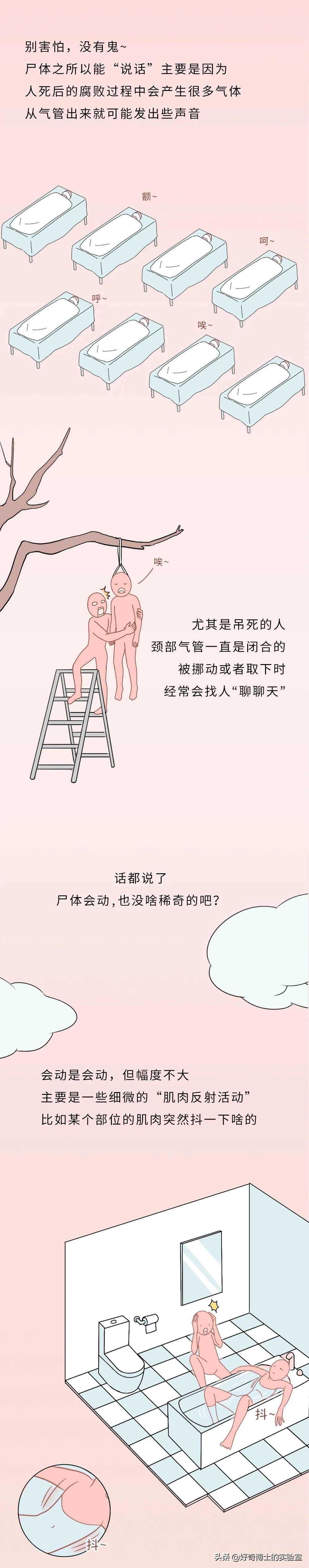 没有人比我更懂原话英文,没有人比我更懂鬼畜原版