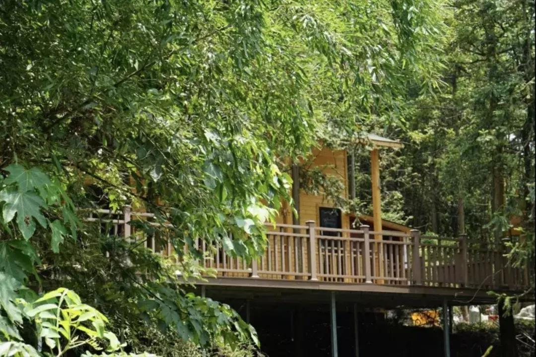 央视挖出来浙江冷门小城，小小鸭头都是世间绝味，人均100+住别墅