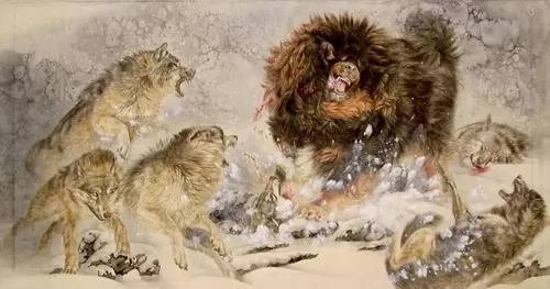 藏獒炒作事件,藏獒炒作之路