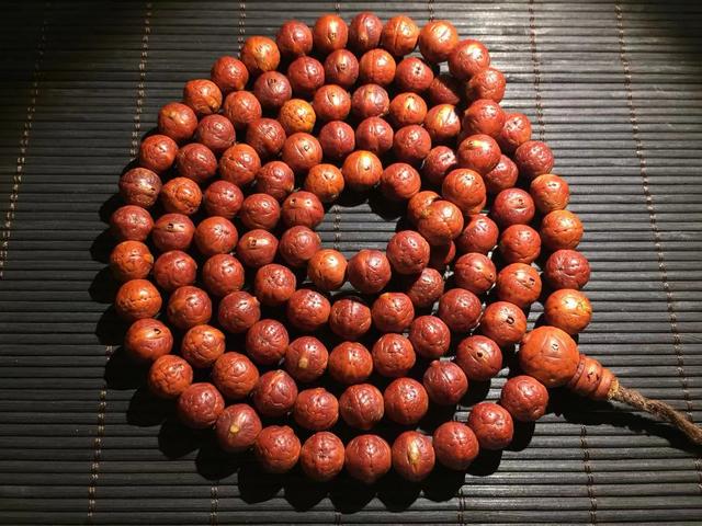 凤眼菩提是菩提吗,凤眼菩提与金刚菩提