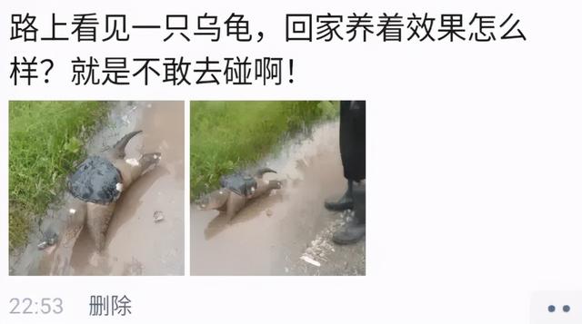 把车标全部抠掉违法吗,把车标抠下来清灰