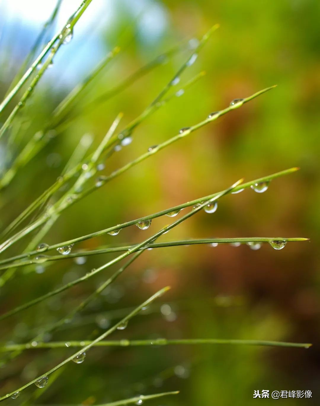 2018年那些感动瞬间,2018那些感动的视频