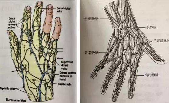 打留置针打到手上的神经手很麻木,打留置针之后手关节痛
