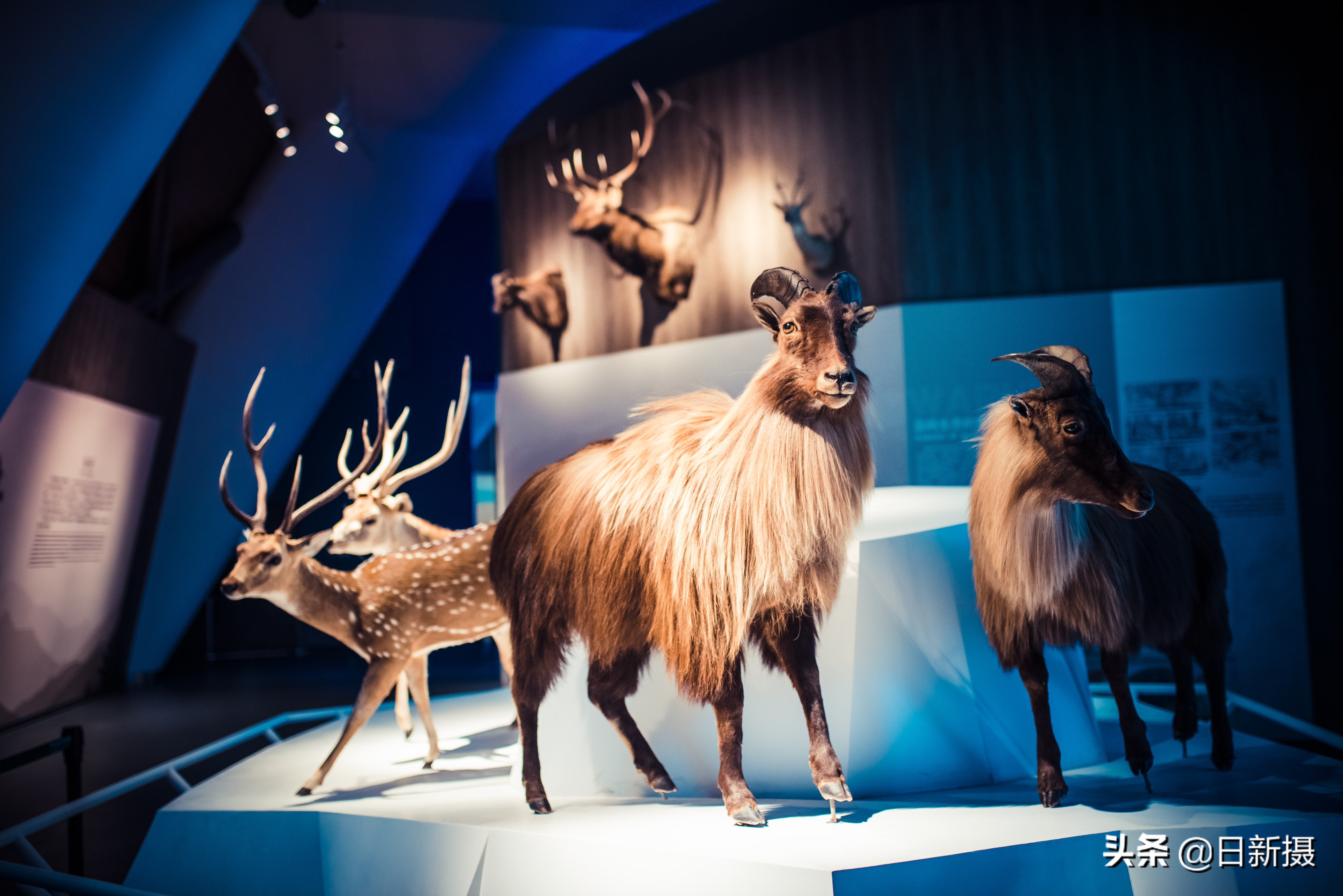 国家海洋博物馆之行,国家海洋博物馆蓝色海洋体验馆