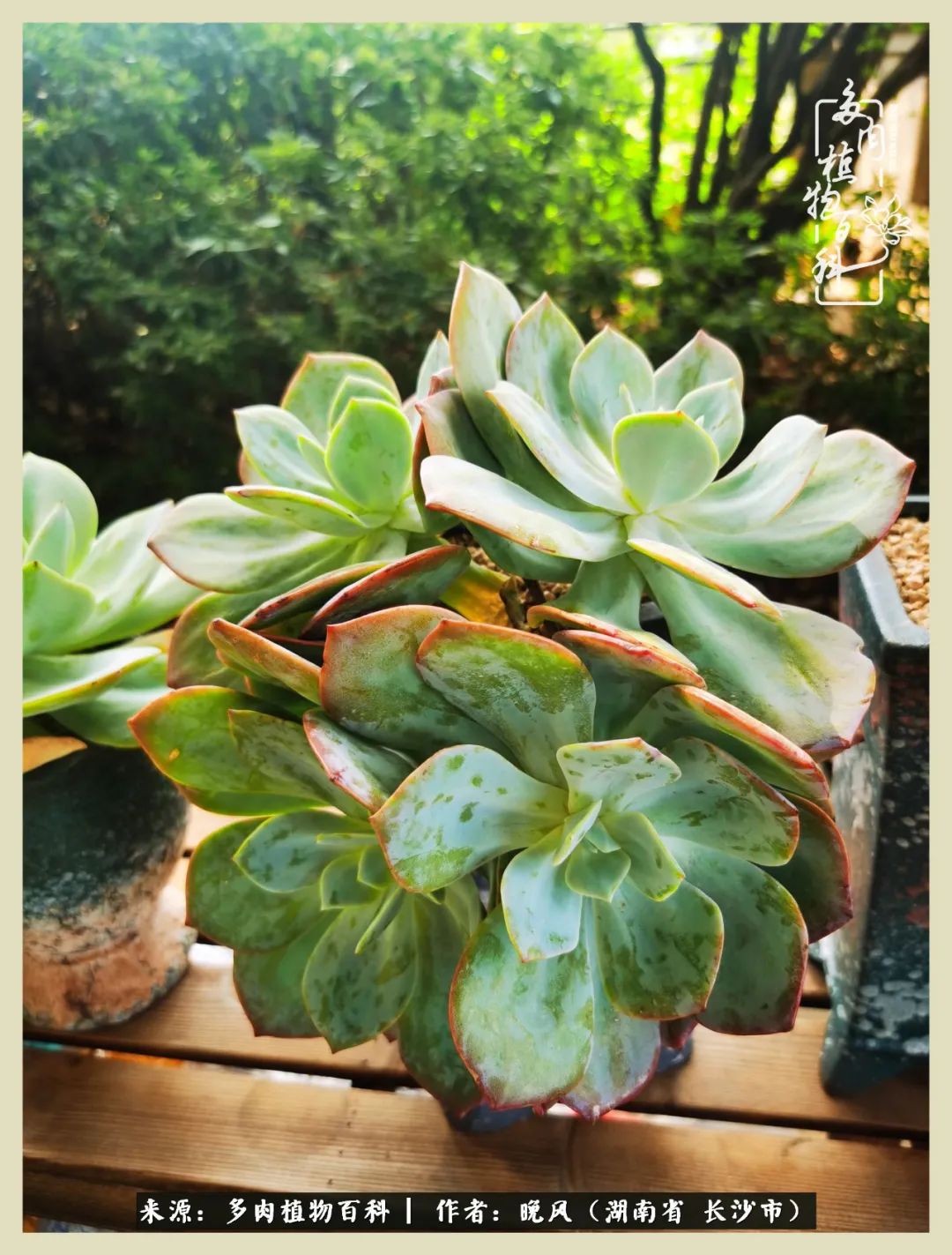 摇身一变成了奶爸,摇身一变成为打工人