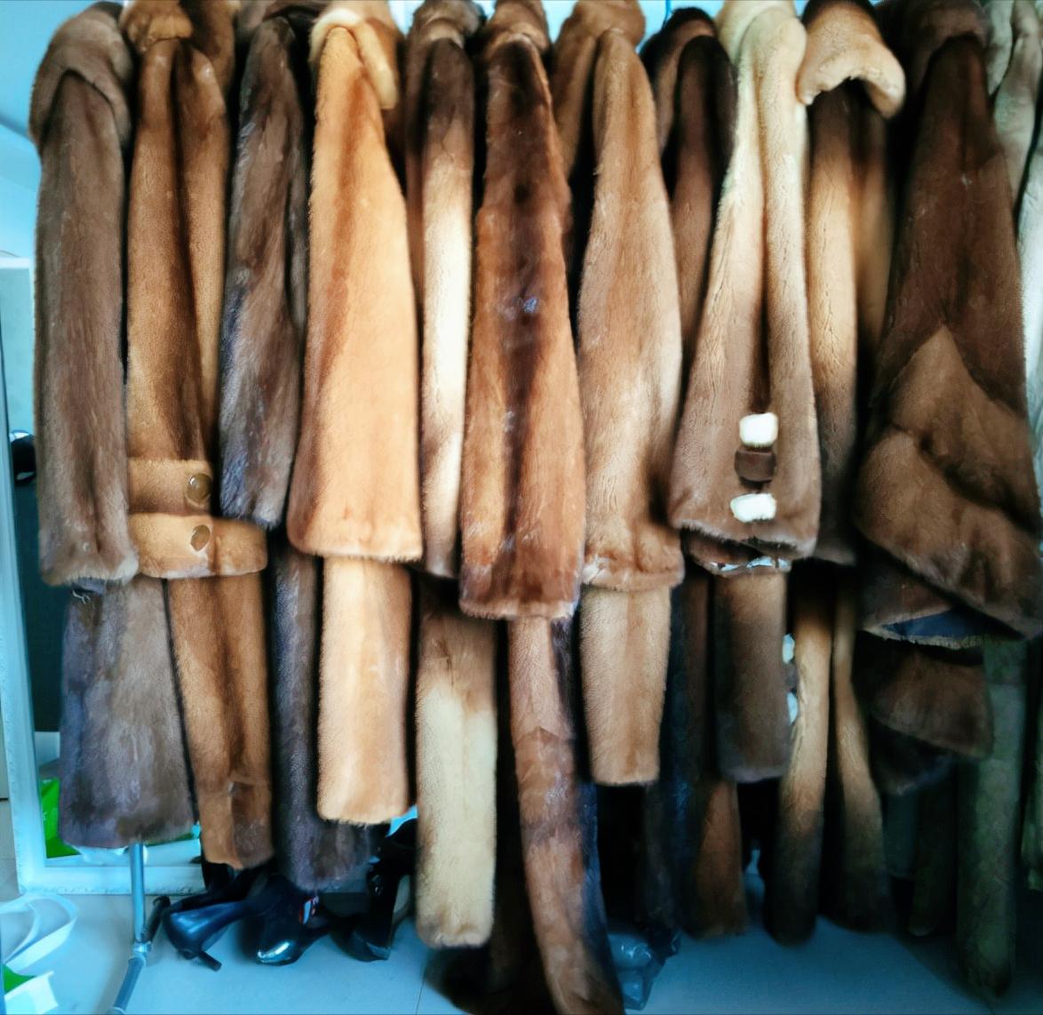 为什么市场上有价格低的皮草,皮草为什么越来越少了