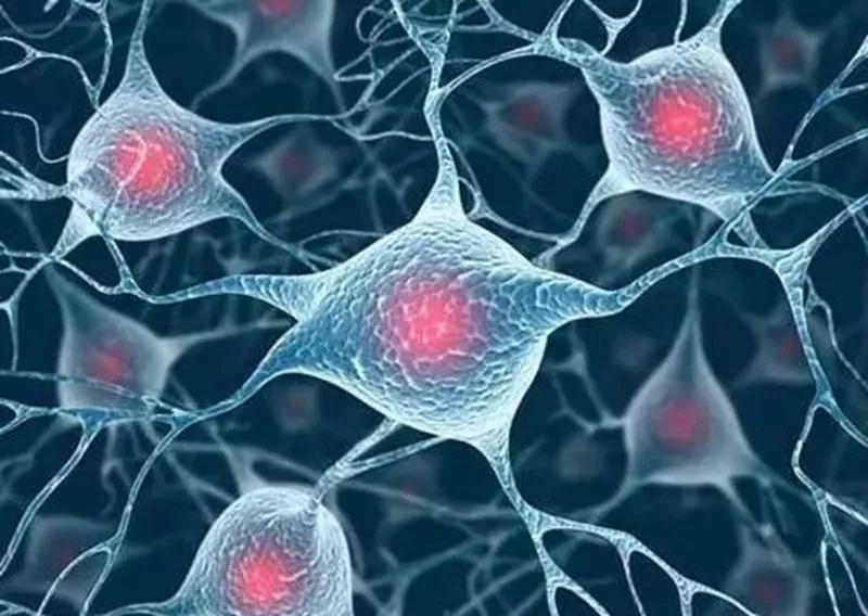 淋巴结结核与转移鉴别,淋巴瘤和转移性淋巴结肿大区别