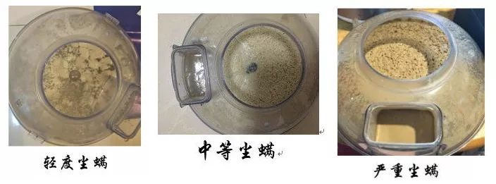 床垫除尘除螨虫多少钱,床垫螨虫怎么彻底消灭