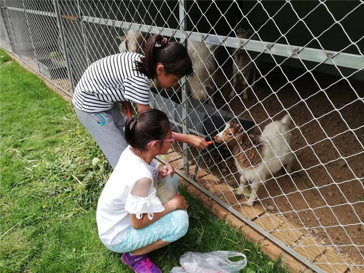 吃鸡游戏直播刺激战场真人版,刺激战场真人版大吉大利今晚吃鸡