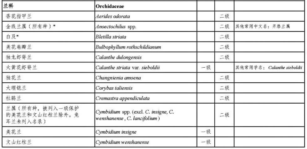 兰花属于保护植物为什么还有人挖,禁止兰花采挖的真正原因