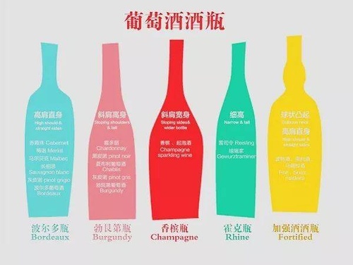 怎样学习红酒入门,红酒知识入门视频教程