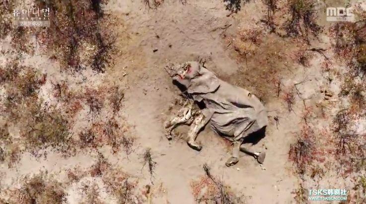 9.4分韩国催泪电视剧,韩国十部9.5评分催泪电影