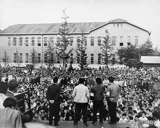 毫无用处的汽车知识篇64:日本汽车产业-丰田家族发展流水账