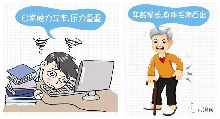 伟博深海鱼油测评,伟博鱼油正品