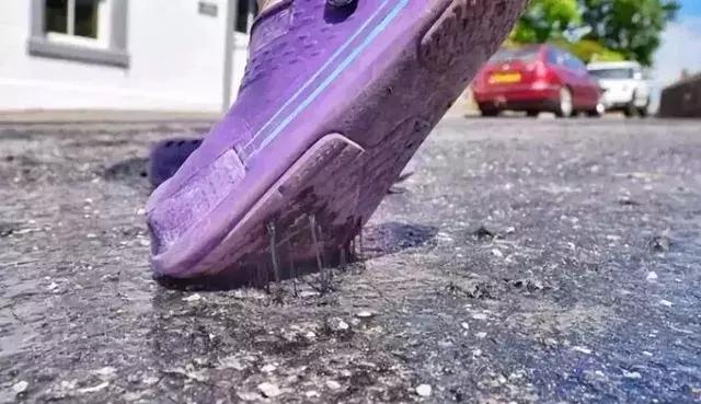 人类面临的生态困境包括哪,生态农业的可能性以及前景