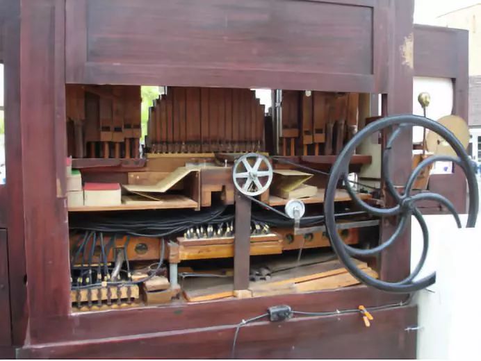 荷兰国花郁金香风车,荷兰风车和郁金香