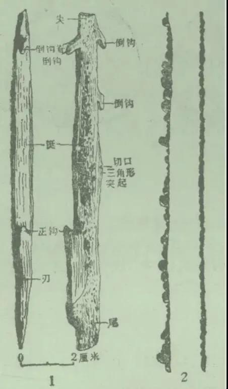 横县鱼生二十四种配料,舌尖上的广西横县鱼生第一刀