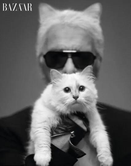 香奈儿立领真丝白衬衫,香奈儿白衬衫