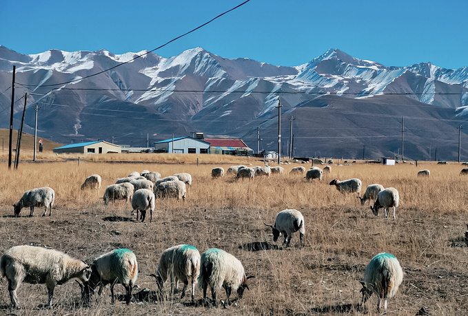 去一趟大西北的旅行,大西北旅行青藏高原