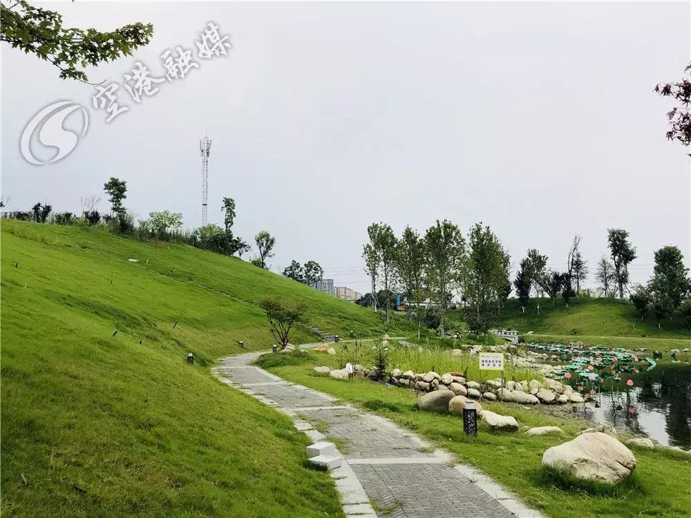 打围了啷个久的五湖四海有新动作！家门口又一个大型公园即将开放