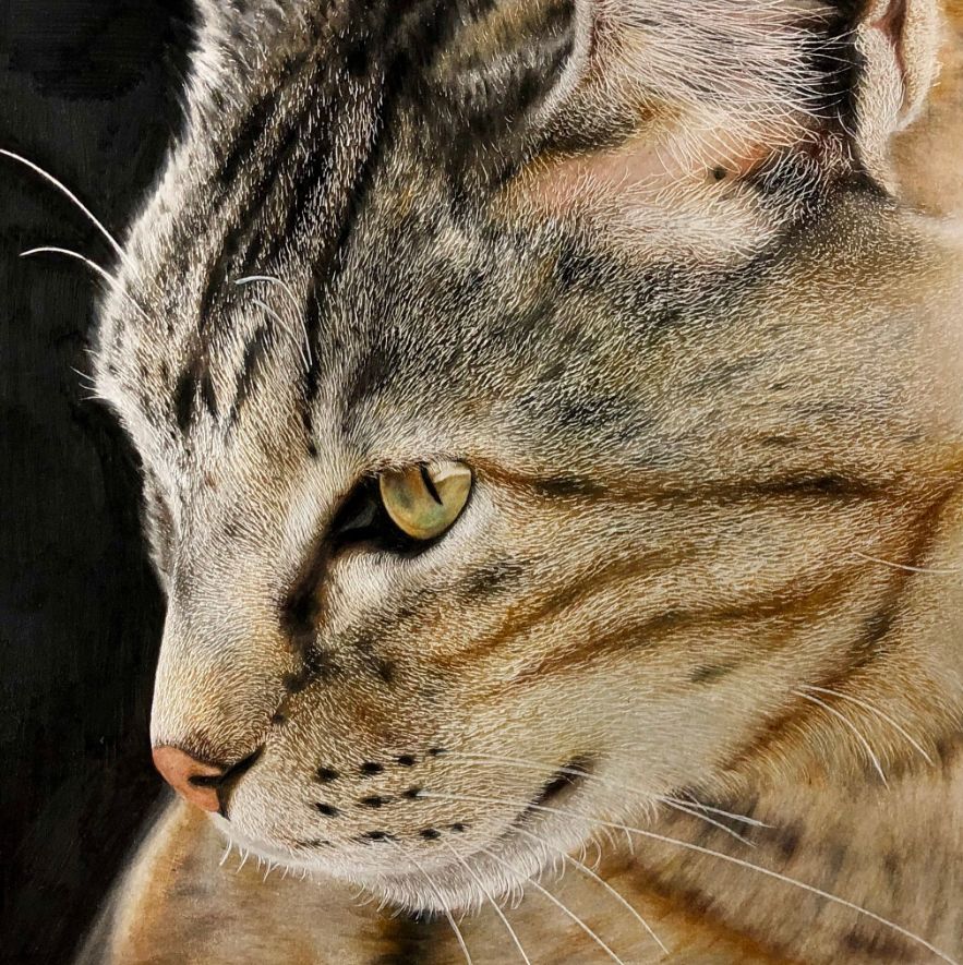 失明女孩铅笔画,保护视力守护心灵素描画