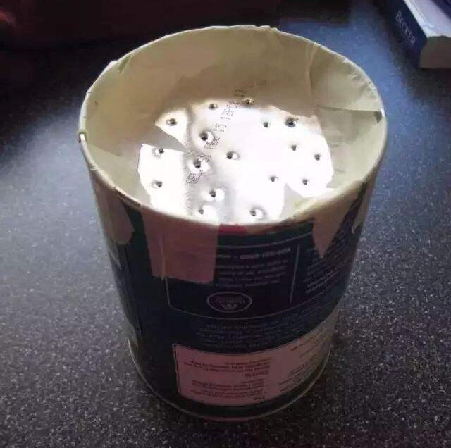 空奶粉罐种花方法,奶粉罐养花效果好吗