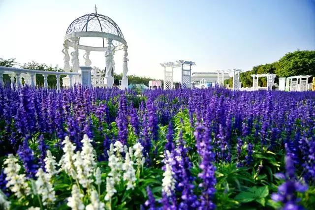 广州比较适合年轻人去的地方,广州最适合年轻人去的地方